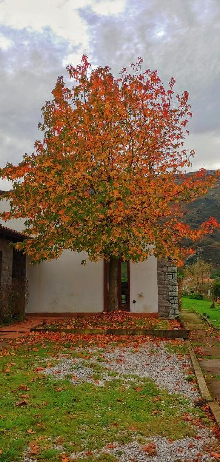 La Calma De Llanes 빌라 외부 사진